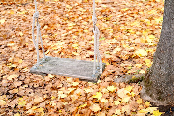 lone wooden swing hangs from tree branch, surrounded by fallen autumn leaves, evoking feelings nostalgia and childhood memories