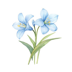 Fototapeta premium blue flowers with vibrant petals