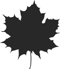 Autumn leaf leaves. Fall leaves maple, oak.Natural colorful illustration on transparent, png.