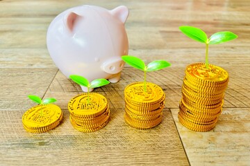 お金が育つイメージ、資産が積み上がる