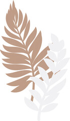 Beige, green, white tropical leaves in flat style, on transparent, png. Illustration. Green jungle,foliage. Floral beach