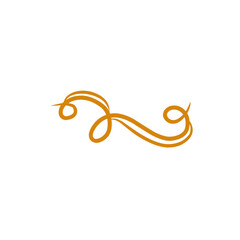 classic swirl decoration flourish 