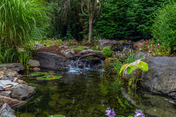 Koi pond surrounded by rocks and native flowers for backyard landscape design