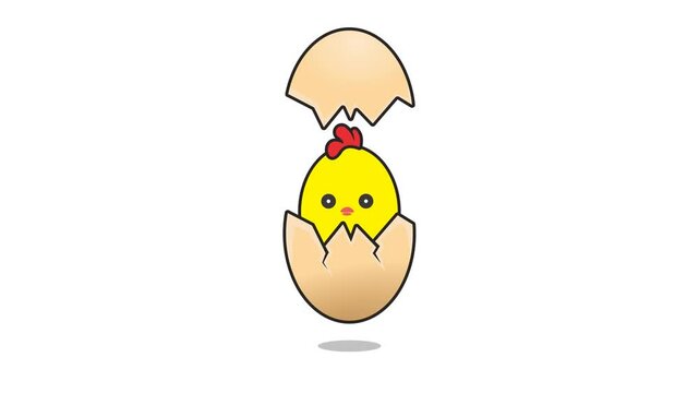 chick in eggshell animation. looping animation