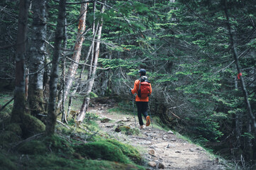 Fototapeta premium 八ヶ岳 白駒の森を歩くハイカー