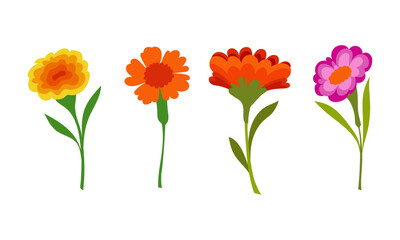 Hand drawn Beautiful spring flower illustration set