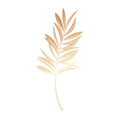 Hand drawn golden leaves illustration isolated on white background