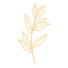 Hand drawn golden leaves isolated on white