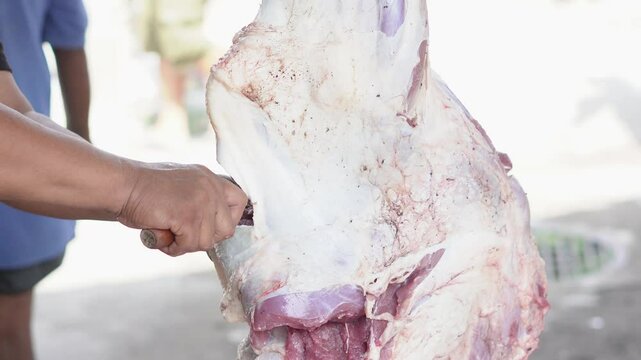 Close-up 4K footage of a Muslim male butcher cutting goat meat to distribute to Muslims in need during Eid al-Adha Al Mubarak