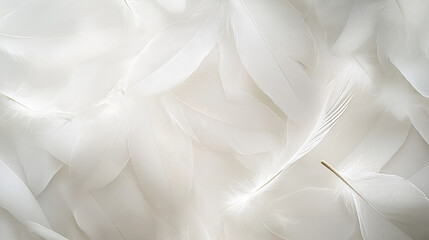 Light Airy Feathers Gently Drifting Down in a Repeating Pattern