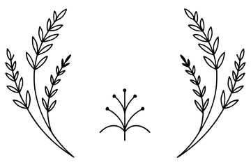 Set of lavender calligraphic design elements, floral frame and graceful branches vector illustration.