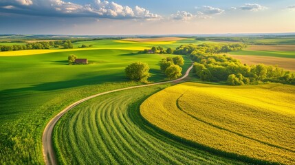 Fototapeta premium A vibrant patchwork of fields and sunflowers surrounds a charming farmhouse under a blue sky.