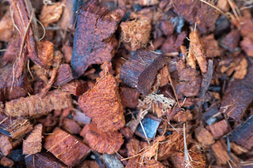 Fertilizer from wood chips in plant pots