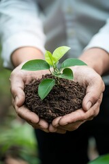 A company implements a sustainability initiative, showing eco-friendly practices in their operations