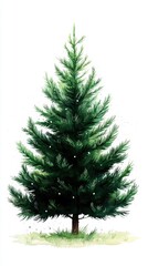 Fototapeta premium Lush Green Pine Tree in the Sunlit Forest Highlighting Natural Beauty and Freshness