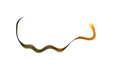 Whoosh lines curvy calligraphy Neon gradient texture bright lines texture, realistic cutout on transparent background. Spray gradient lines texture overlay.