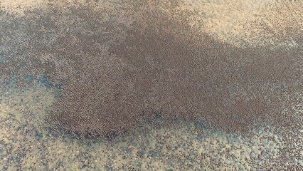 Obraz premium lake livingston state park, Texas, USA.- landscape images 