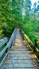 Aerial view of Lake Livingston State Park, Texas, USA.- landscape images	 