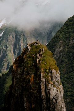 Eagle View