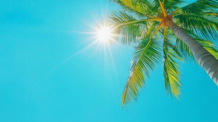 Fototapeta premium palm tree on blue background