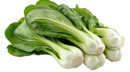 A bunch of fresh green bok choy with white stems, ready to be used in your favorite Asian dishes.  Bok choy is a versatile vegetable that can be stir-fried, steamed, or braised. This image is perfect 