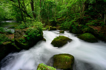 Obraz premium 奥入瀬渓流