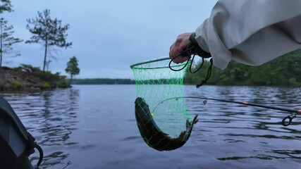 Angler holding net with big mouth bass catch in the early morning, bass fishing while trolling on the inflatable dinghy boat. Fisherman hand holding fishing fish with lake on the background.