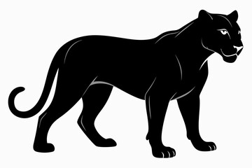 Panther vector silhouette, leopard silhouette panther, puma, vector illustration
