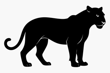 Panther vector silhouette, leopard silhouette panther, puma, vector illustration