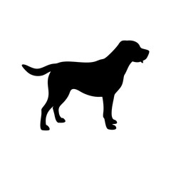 dog images, pet breeds svg, silhouette, dog 