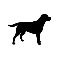 dog images, pet breeds svg, silhouette, dog 