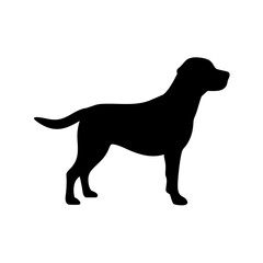 dog images, pet breeds svg, silhouette, dog 