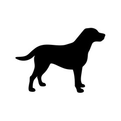 dog images, pet breeds svg, silhouette, dog 