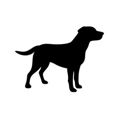 dog images, pet breeds svg, silhouette, dog 