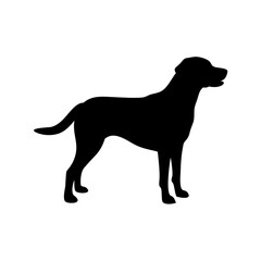 dog images, pet breeds svg, silhouette, dog 