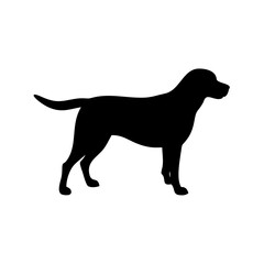 dog images, pet breeds svg, silhouette, dog 