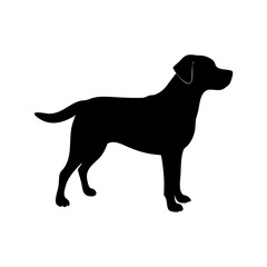 dog images, pet breeds svg, silhouette, dog 