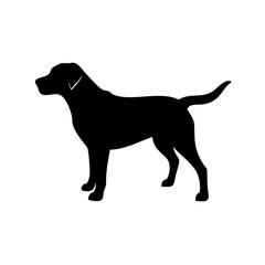 dog images, pet breeds svg, silhouette, dog 