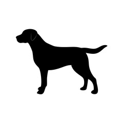 dog images, pet breeds svg, silhouette, dog 