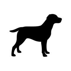 dog images, pet breeds svg, silhouette, dog 