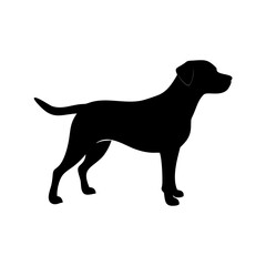 dog images, pet breeds svg, silhouette, dog 