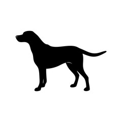 dog images, pet breeds svg, silhouette, dog 