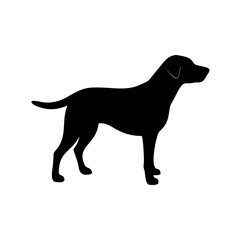 dog images, pet breeds svg, silhouette, dog 