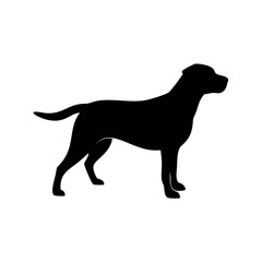 dog images, pet breeds svg, silhouette, dog 