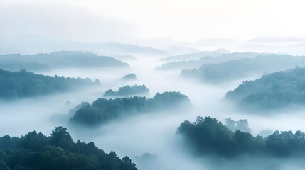 Fototapeta premium Misty Forest Landscape, Aerial View, Nature Photography
