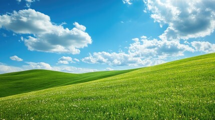 Obraz premium Rolling hills covered in vibrant green grass, dotted with wildflowers under a bright spring sky, peaceful and serene landscape scene