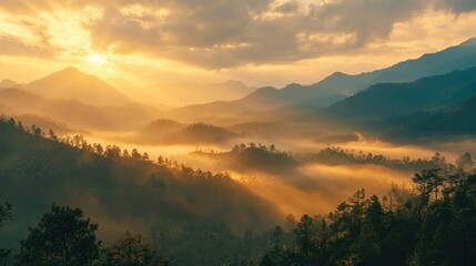 Naklejka premium Sunrise over a misty mountain range, golden light filtering through the fog, peaceful and serene landscape scene