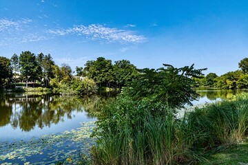 Quarton Lake Park and the Rouge River on a Summer day