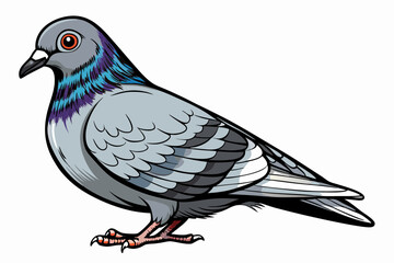Pigeon Dove Bird Sketch vector illustration