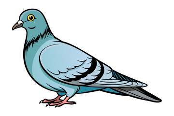 Pigeon Dove Bird Sketch vector illustration